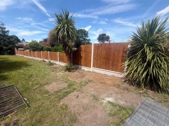 New closeboard fencing behind a garden planted with two cordyline palms